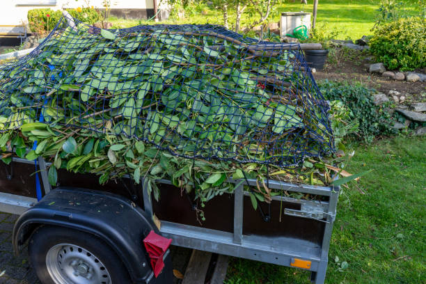 Best Yard Waste Removal  in Diberville, MS